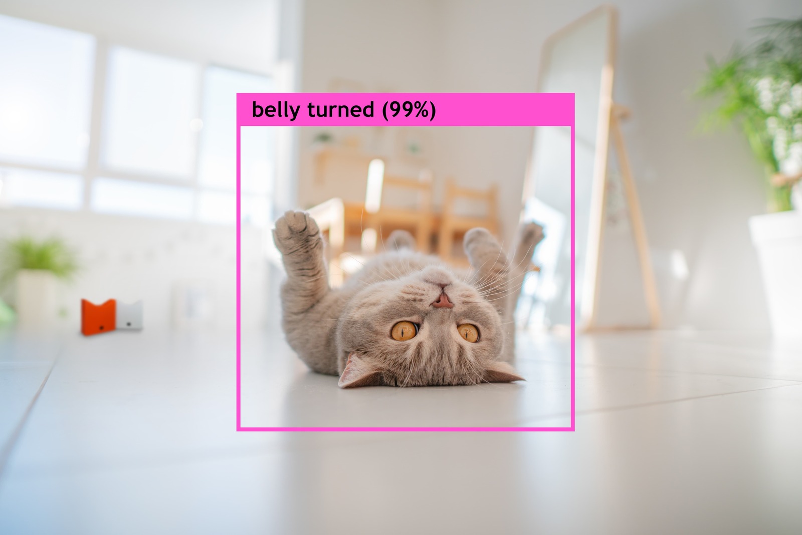 This pet camera utilizes Generative AI to train a DNN model to accurately capture cute events such as belly showing.