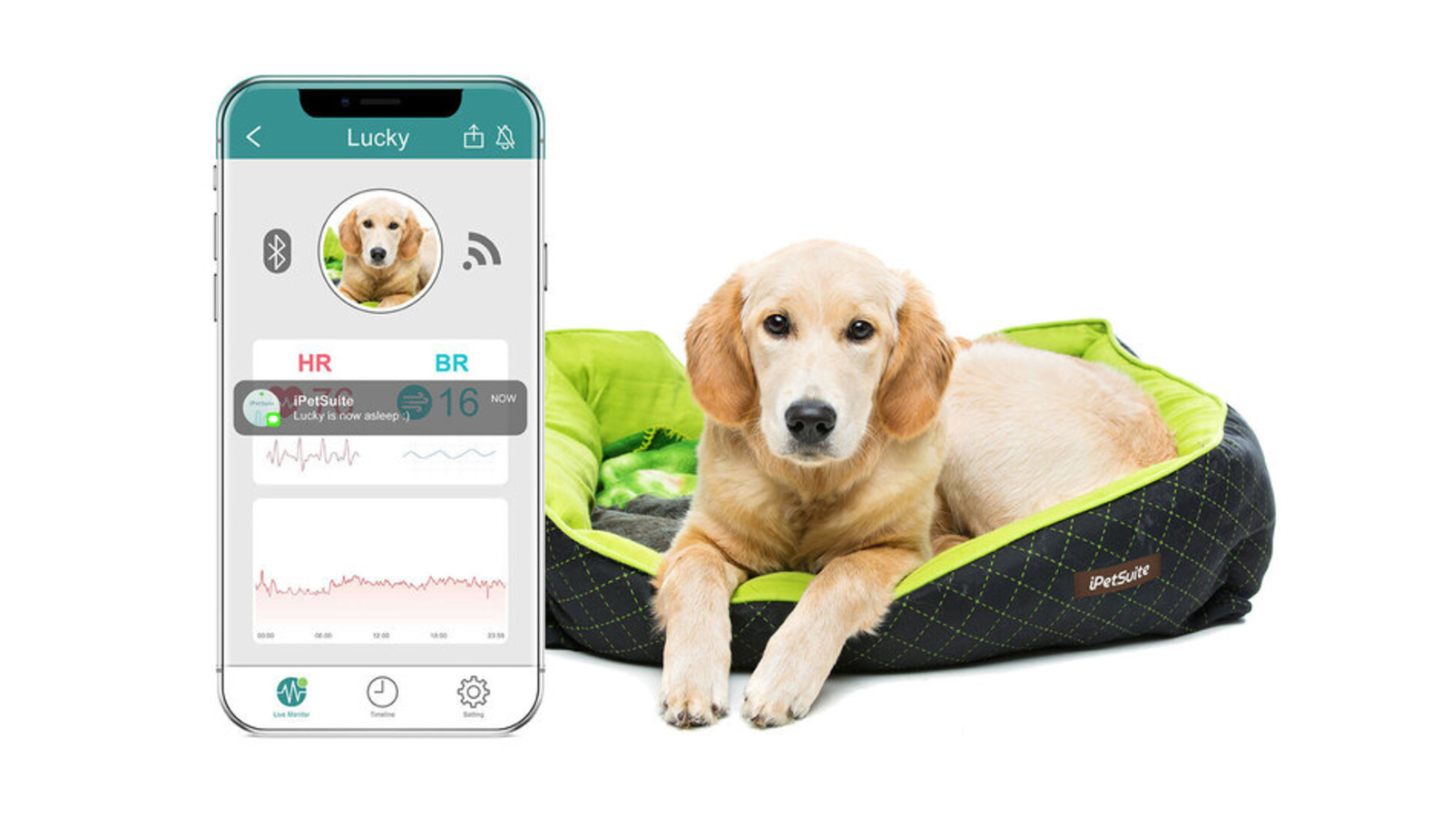  iPetSuite can be installed on any pet bed. 