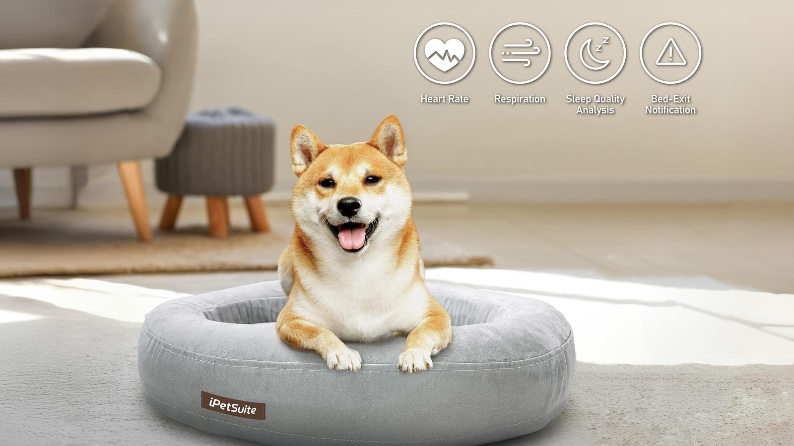  It tracks heart rate, breathing, and sleep positions for pets via non-contact sensing technology. 